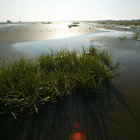 Strandhuus Σπίτι διακοπών Juist