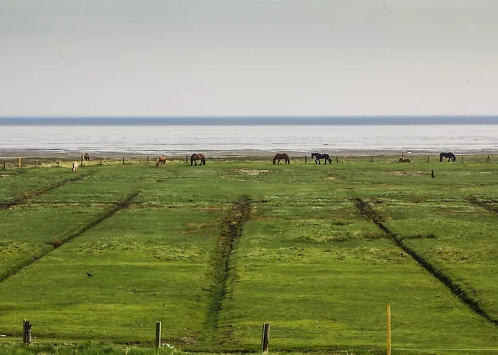 Strandhuus 別荘 ユイスト