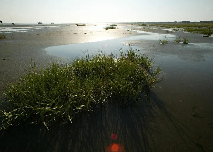 Strandhuus 別荘 ユイスト